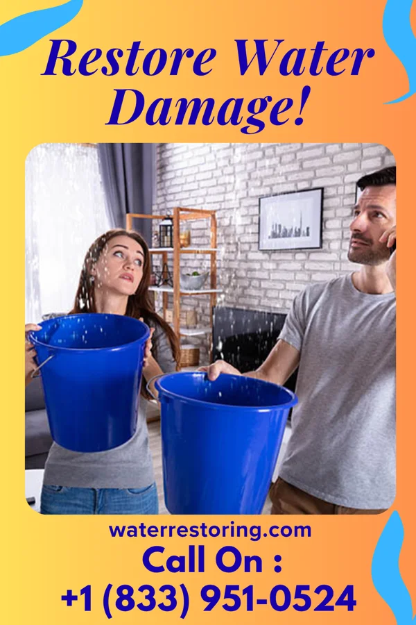 water restoration Sterling Disaster Cleanup Specialists Manhattan