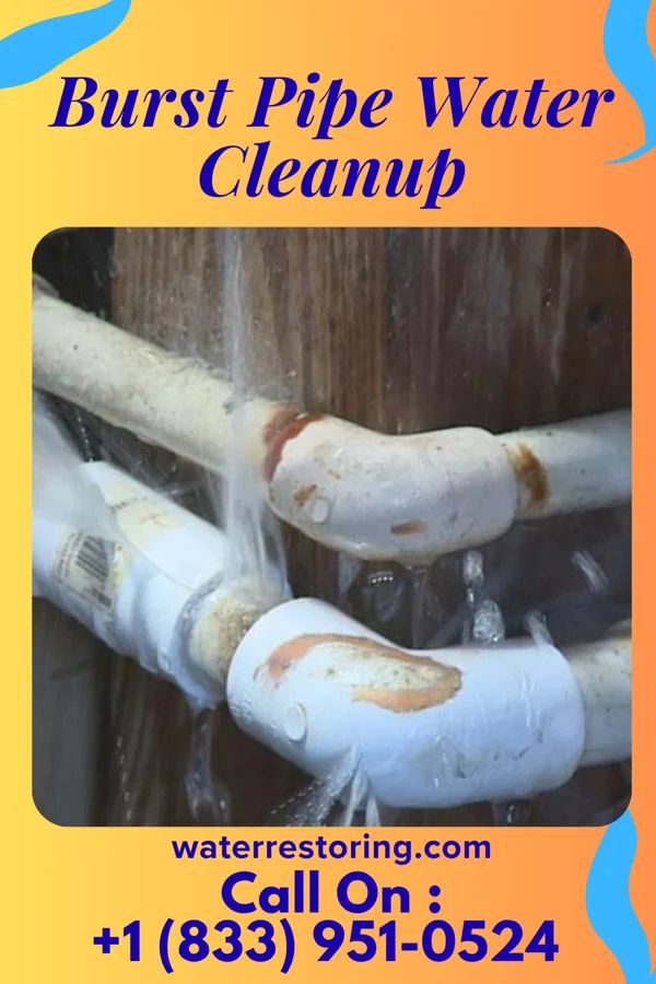 Burst Pipe Water Cleanup in Manhattan, KS
