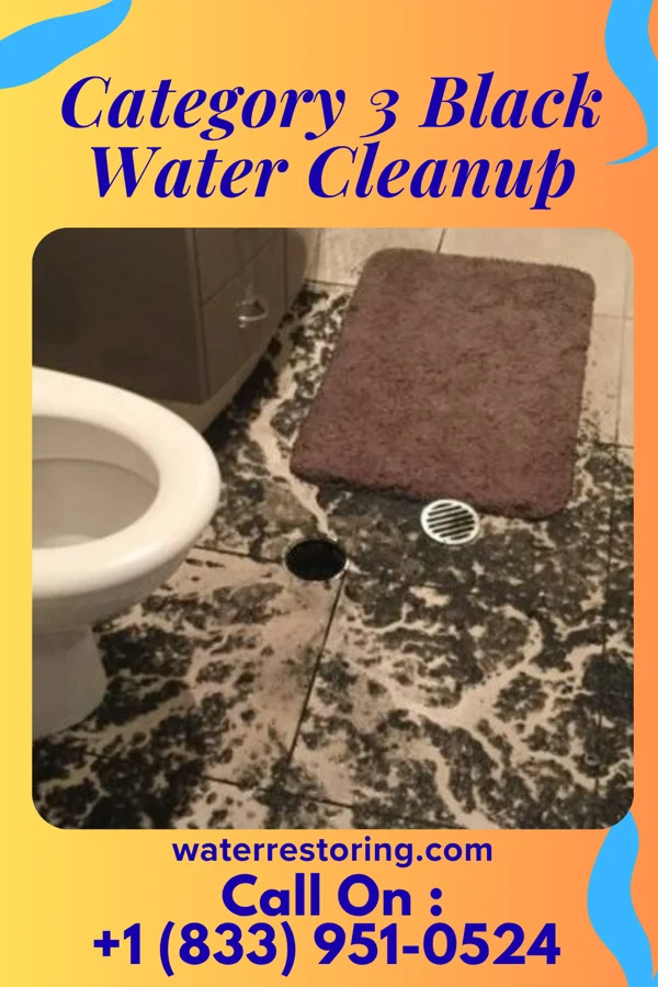 Category 3 Black Water Cleanup in Manhattan, KS